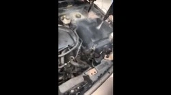 Steam Cleaner for Car Washing