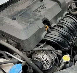 Before steam cleaning