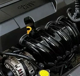 After steam cleaning