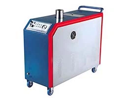 Gas Fired Steam Cleaner