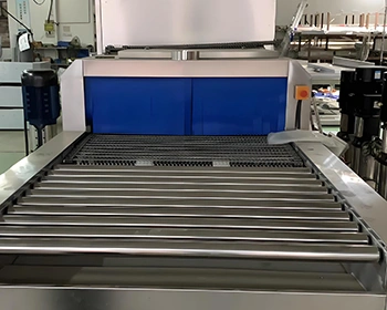 Automatic Tray Washing Machine